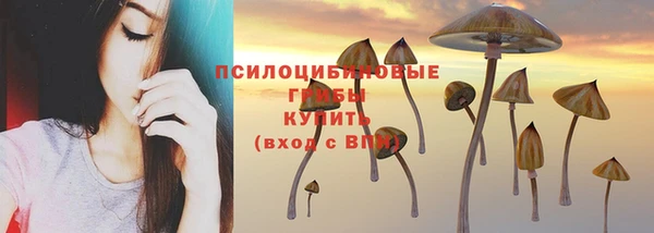 a pvp Алексин