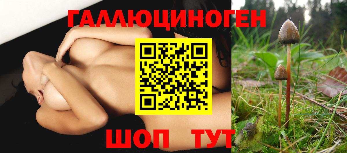 Галлюциногенные грибы ЛСД  Галлюциногенные грибы мицелий  Вход с VPN  Аргун 