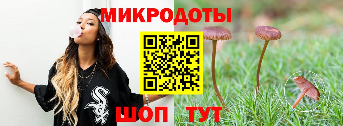 Псилоцибиновые грибы Psilocybine cubensis Аргун